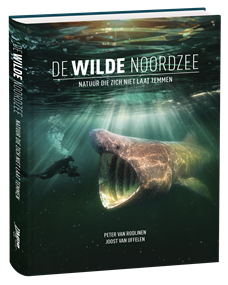 Boek De Wilde Noordzee