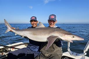 Nieuw record ruwe haai: 175 CM (video)