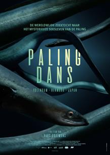 Nieuwe film Palingdans: hoe steekt de voortplanting van de paling in elkaar?