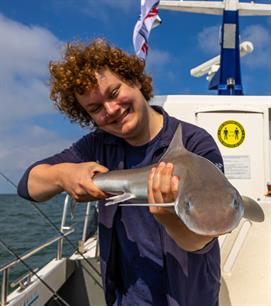 Terugblik Sharkatag 2024: sportvissers helpen bij haaienonderzoek Nederlandse kust (video's)