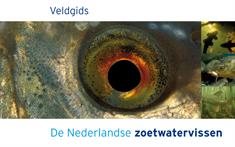 Veldgids Nederlandse Zoetwatervissen