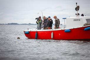 Vissen op zeebaars en haai in Zeeuwse wateren in VIS TV (video)